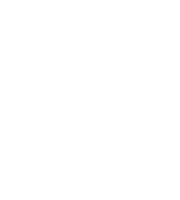Sidekix, together heroes
