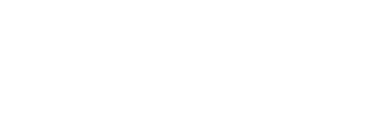 VL_LOGO_LIGGEND_2024_DIAP