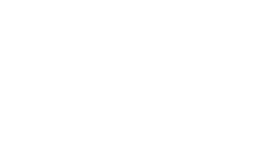 KPN logo