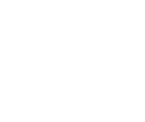 Daelmans logo