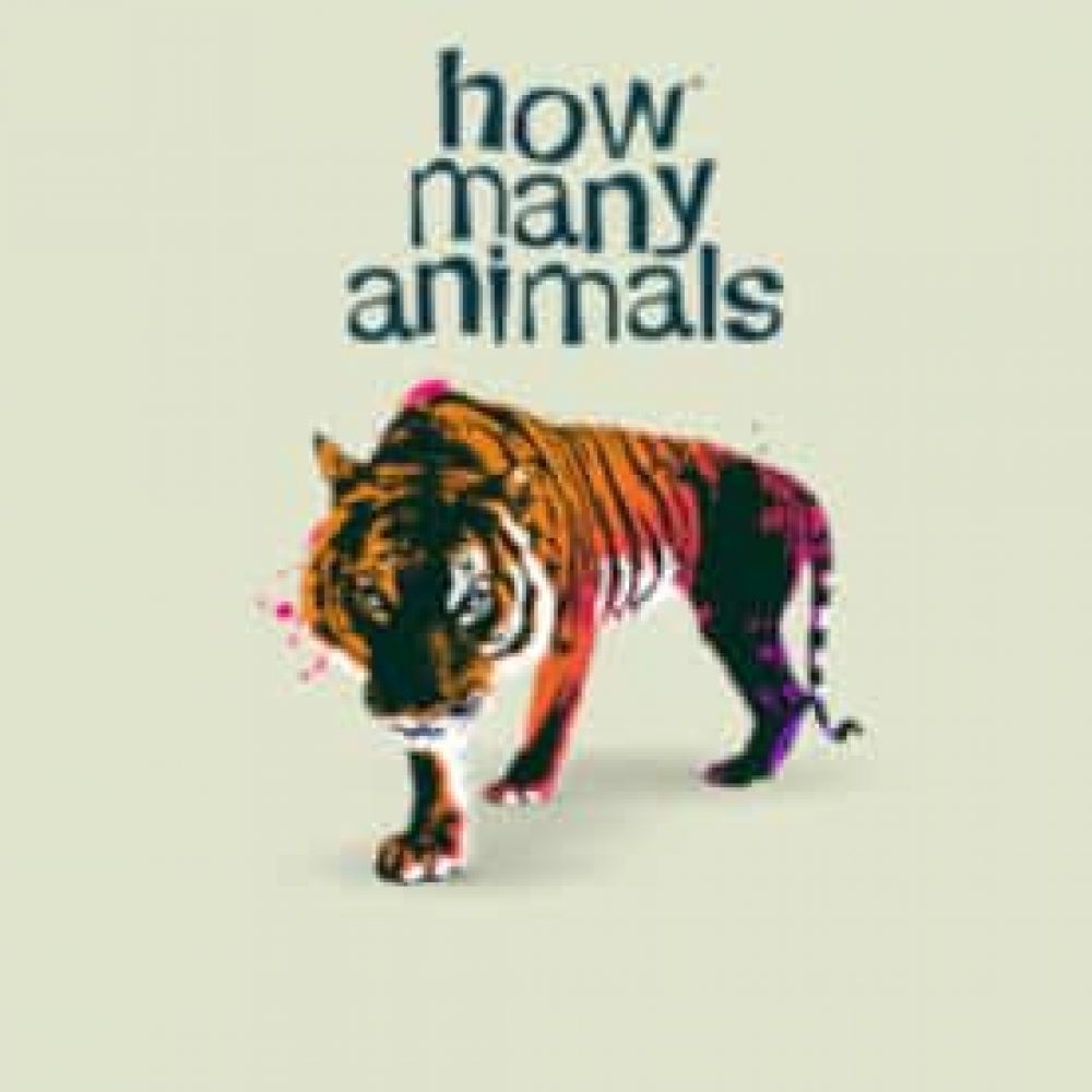 How Many Animals kiest voor Sidekix